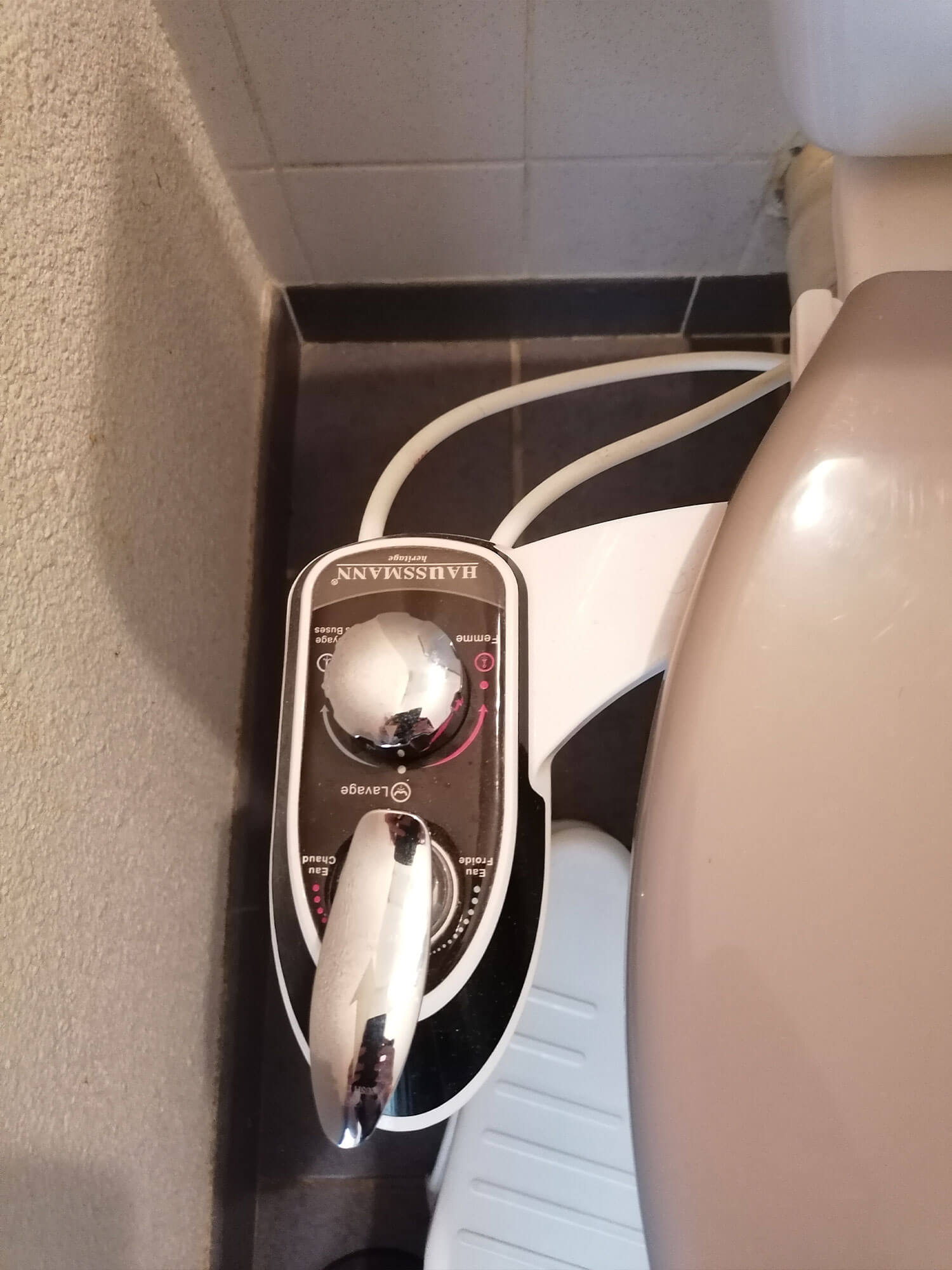 Toilette Japonaise amovible