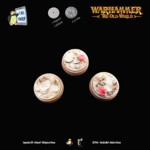 Socle magnétique individuel warhammer the old world peint
